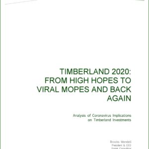 Timberland 2020: From High Hopes to Viral Mopes and Back Again