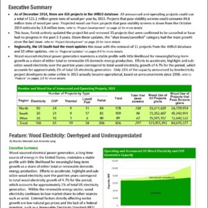 Wood Electricity: Overhyped and Underappreciated