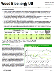 The Rise and Fall of Wood-Based Biofuels, Part II
